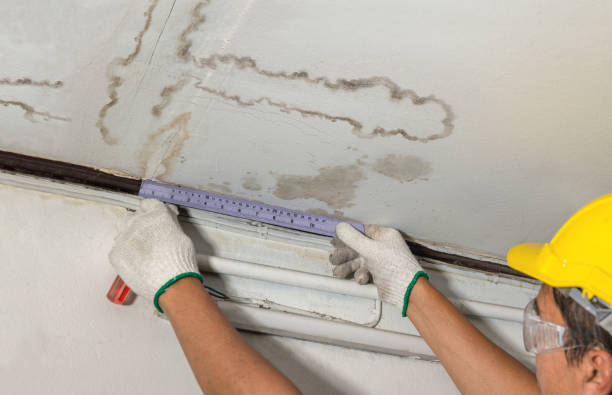 24/7 Emergency Structural Drying experts in Ashford, WA