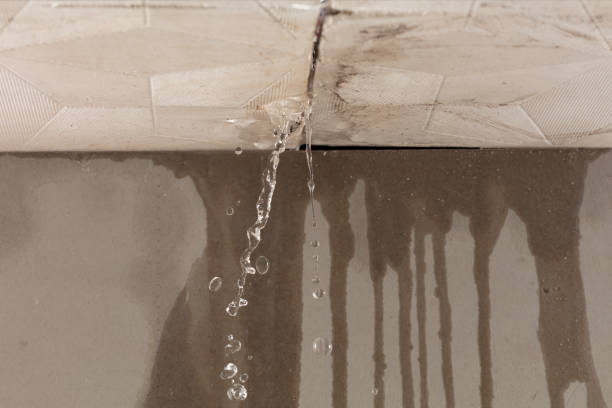 Professional Structural Drying technician working in Ashford, WA